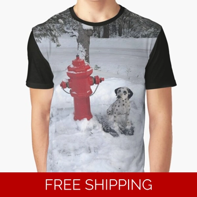 Le Studio Graphic T-Shirt Rush Signals Monument Winter 2019